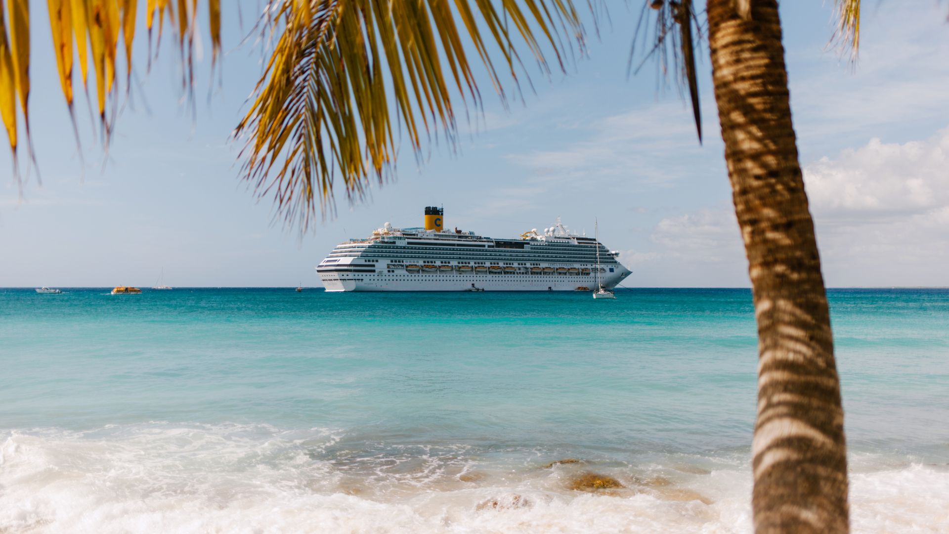 A luxury cruise out at sea, viewed from a Caribbean beach with palm trees in the foreground.