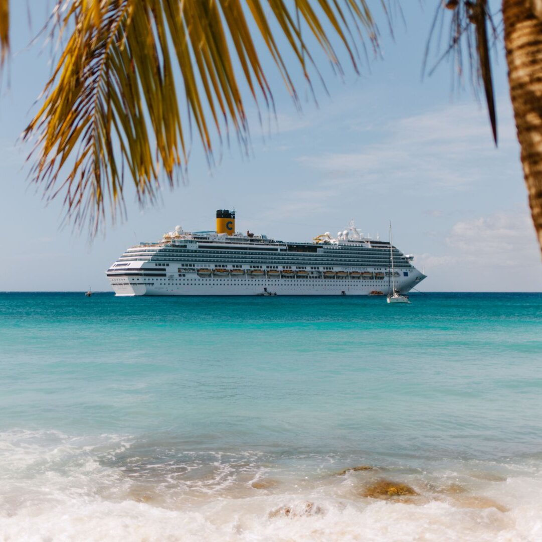 A luxury cruise out at sea, viewed from a Caribbean beach with palm trees in the foreground.