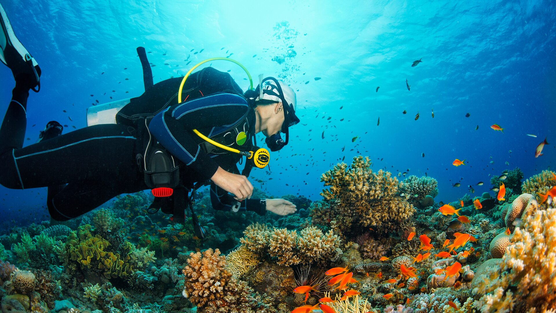 A person scuba diving at the bottom of the sea with small fish swimming around.